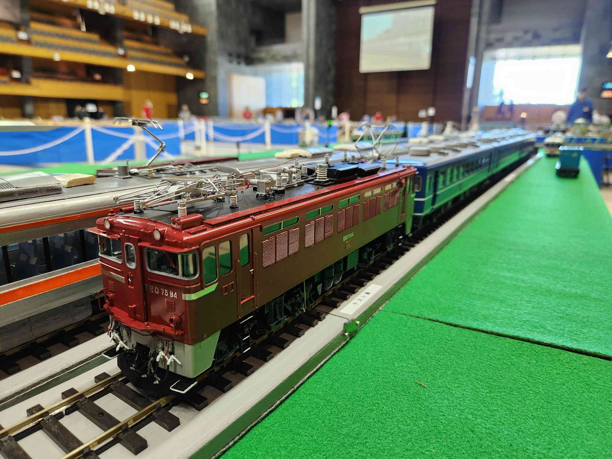 ED75＋12系客車（山浦副会長）