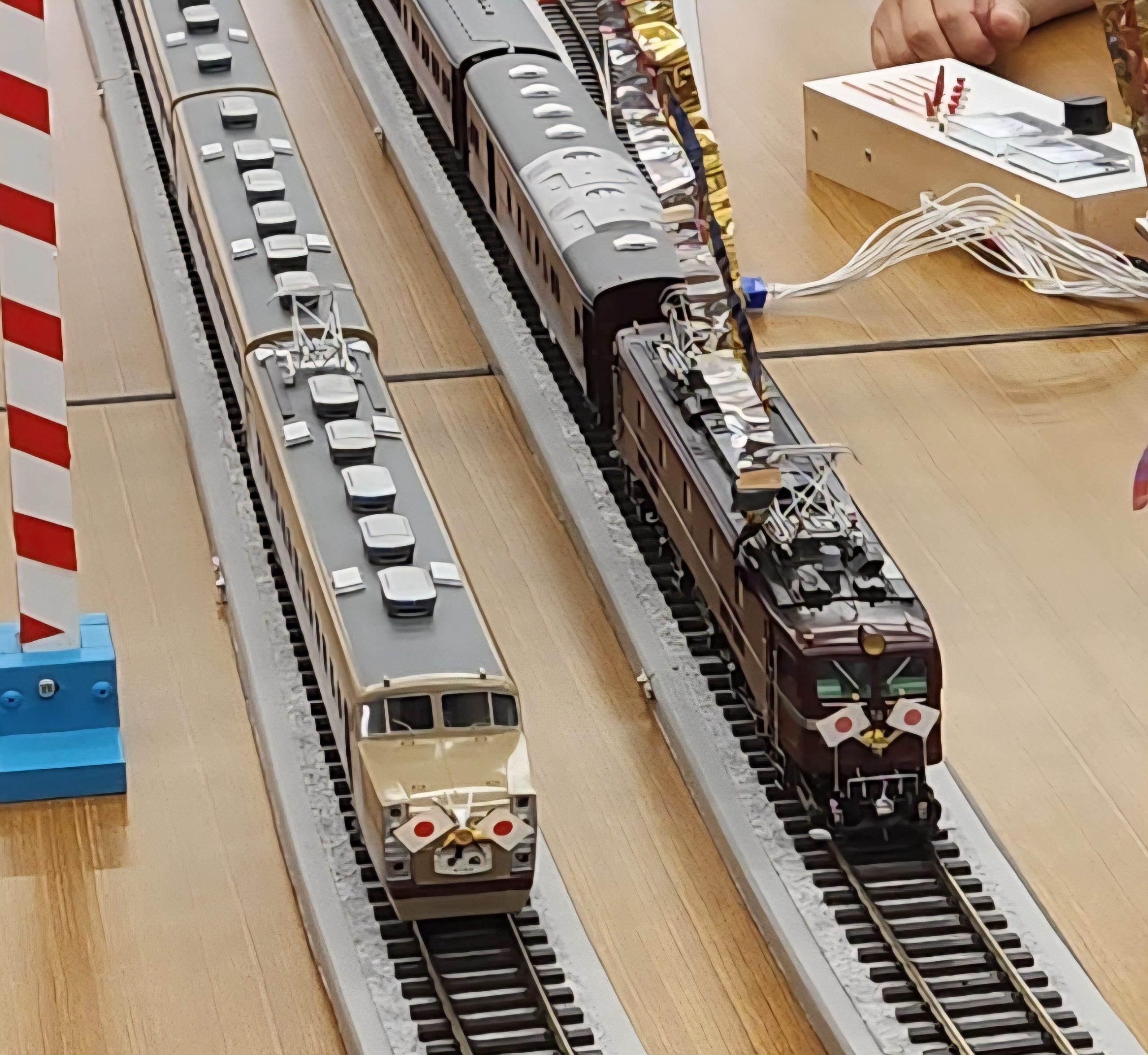 東武DRCとお召列車（山浦副会長）